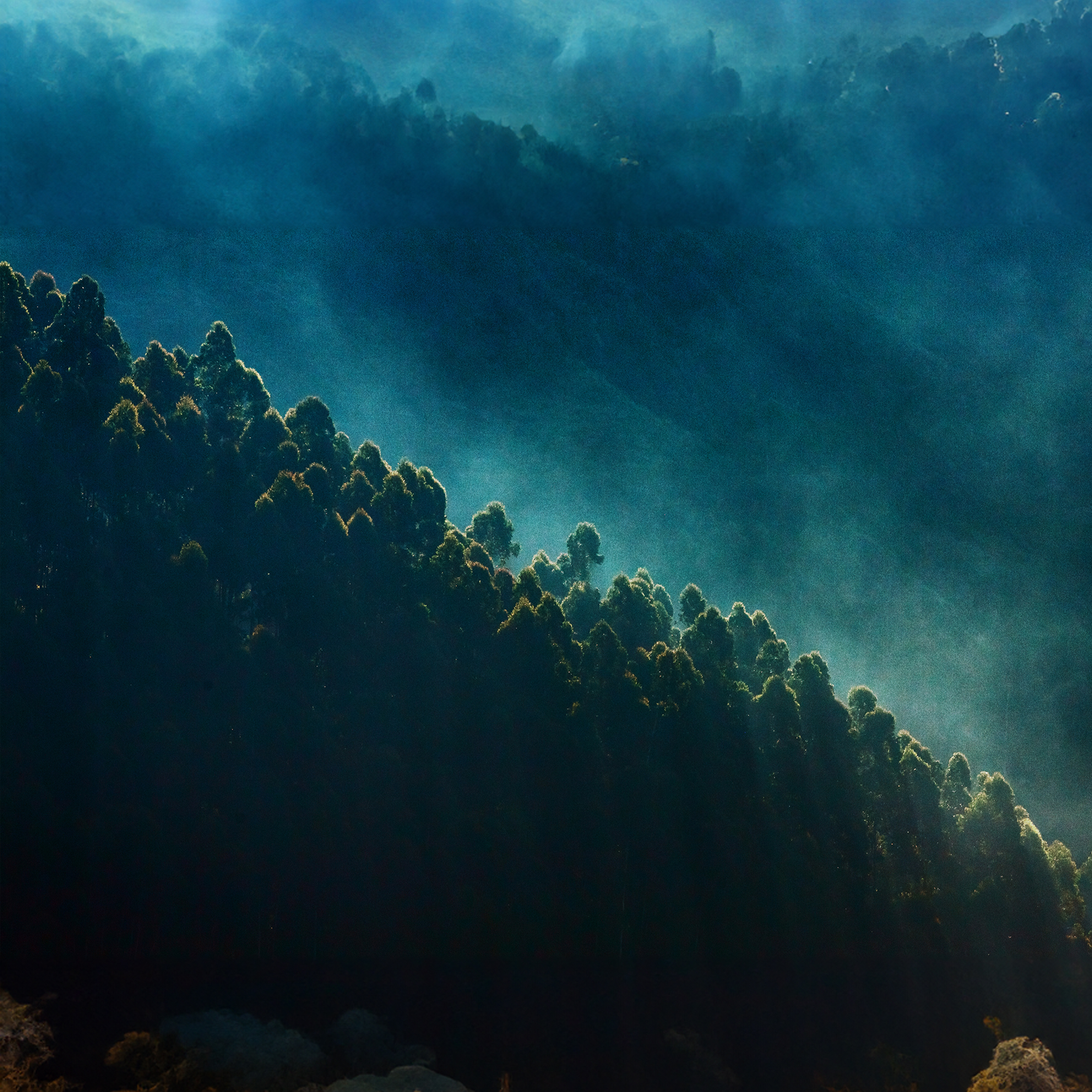 Contemplative Chill (Calm Mix)