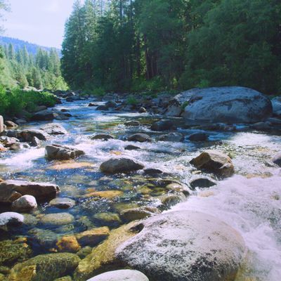 Calm The 1 App for Meditation and Sleep