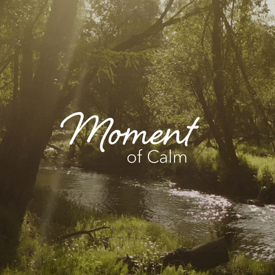 Calm Loading Calm - The #1 App for Meditation and Sleep
