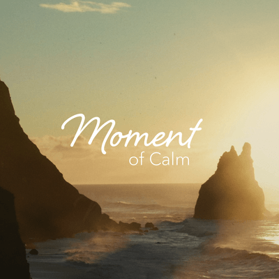 Calm - The #1 App for Meditation and Sleep