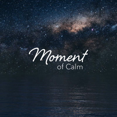 Calm Loading Calm - The #1 App for Meditation and Sleep
