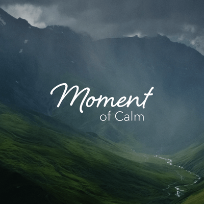 Calm - The #1 App for Meditation and Sleep