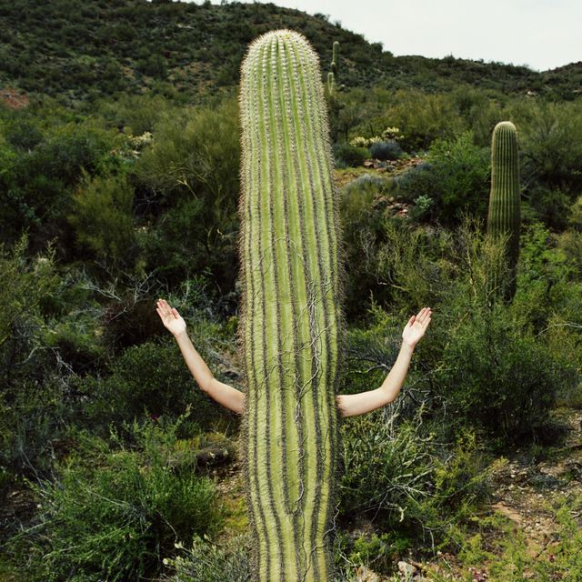 Content Image
