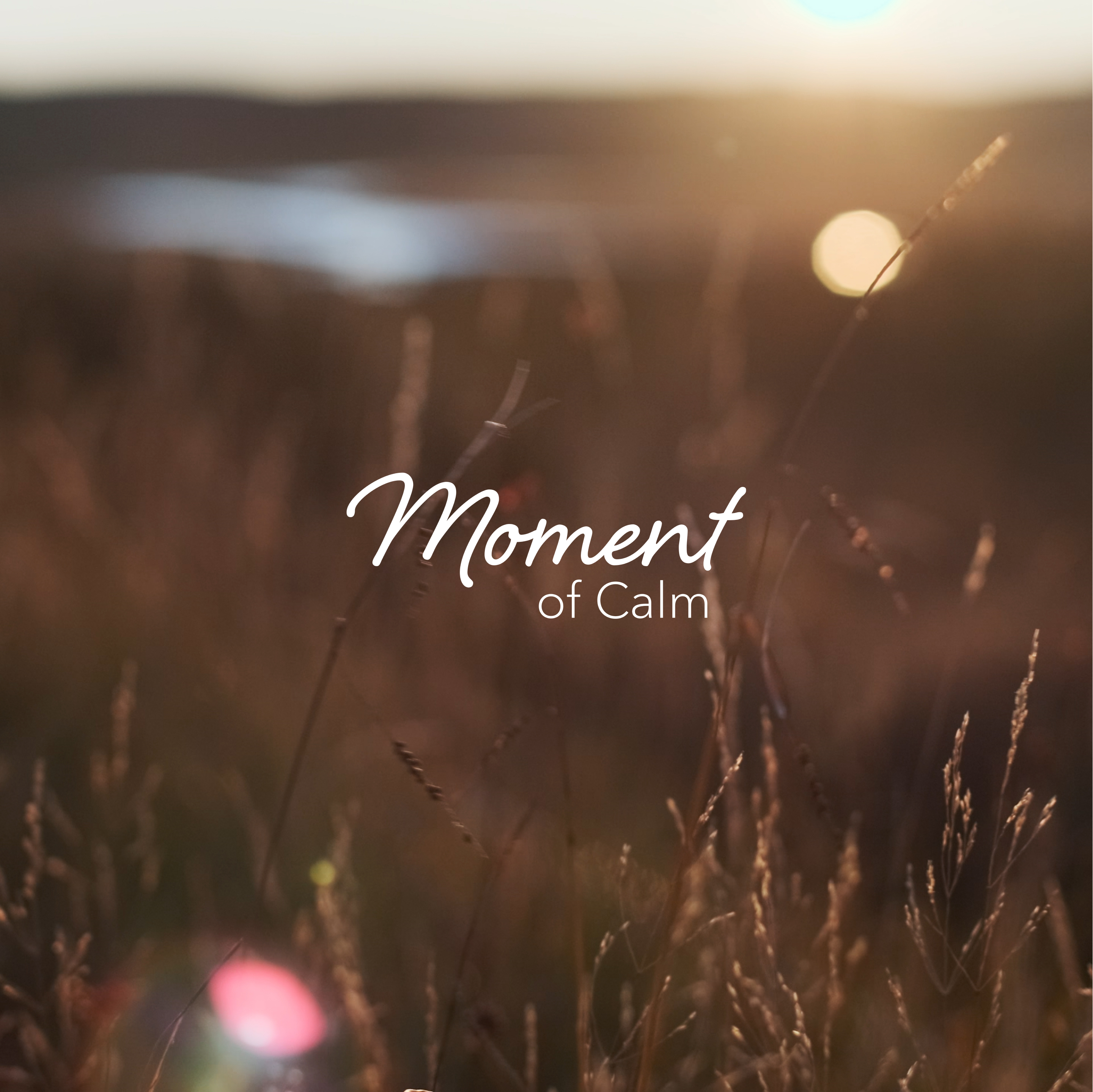 Calm - The #1 App for Meditation and Sleep