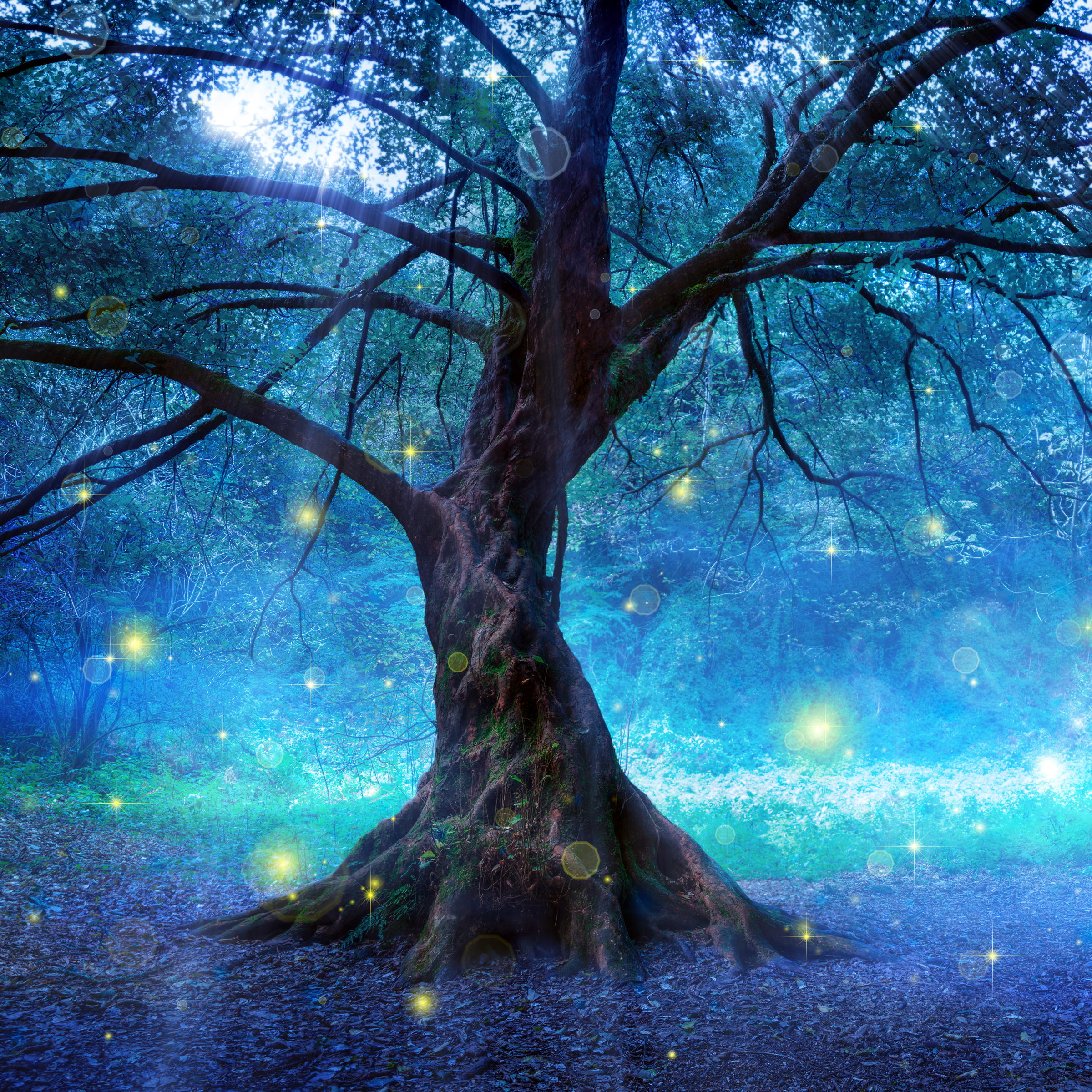 Firefly Forest Lullaby