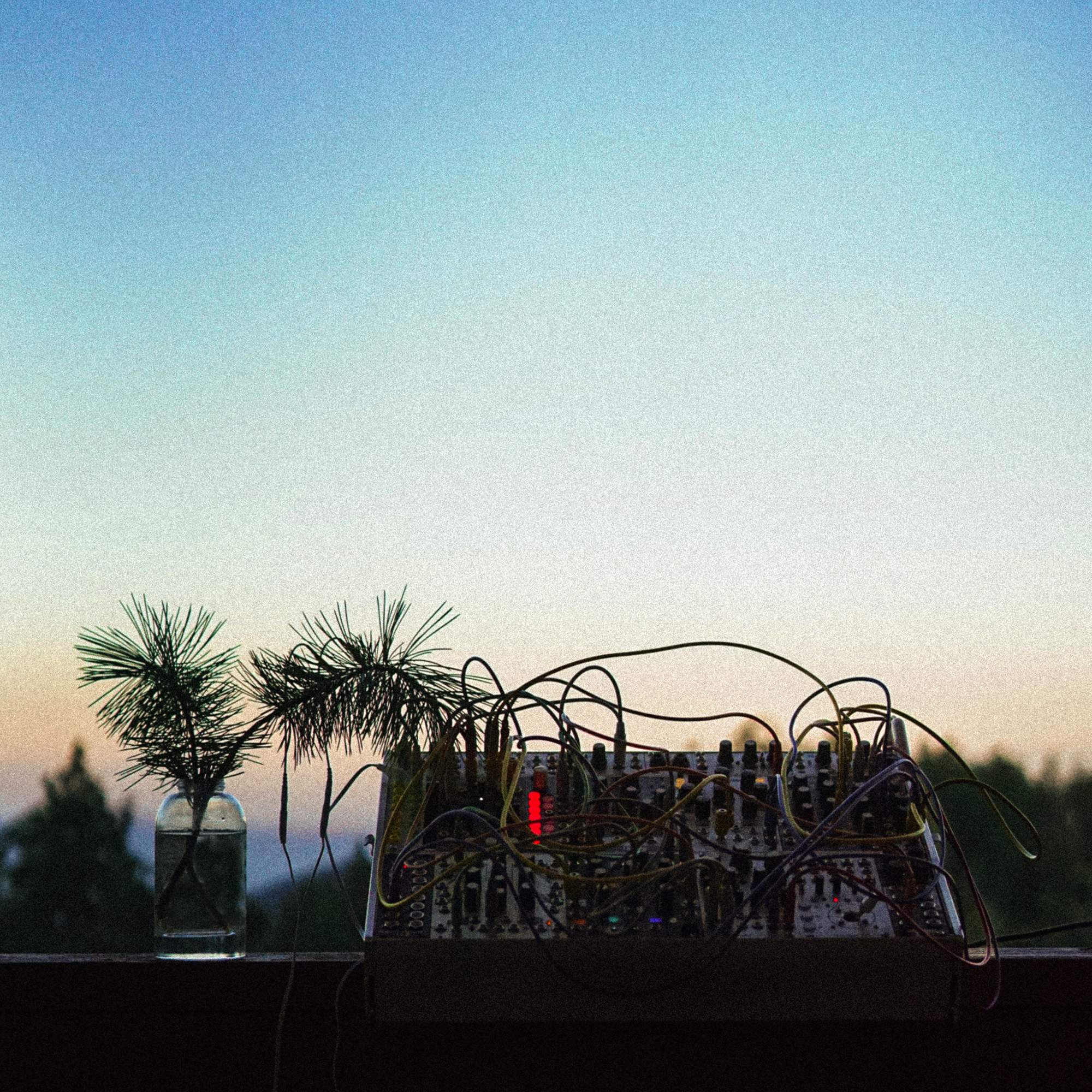 Botanical Sound Bath