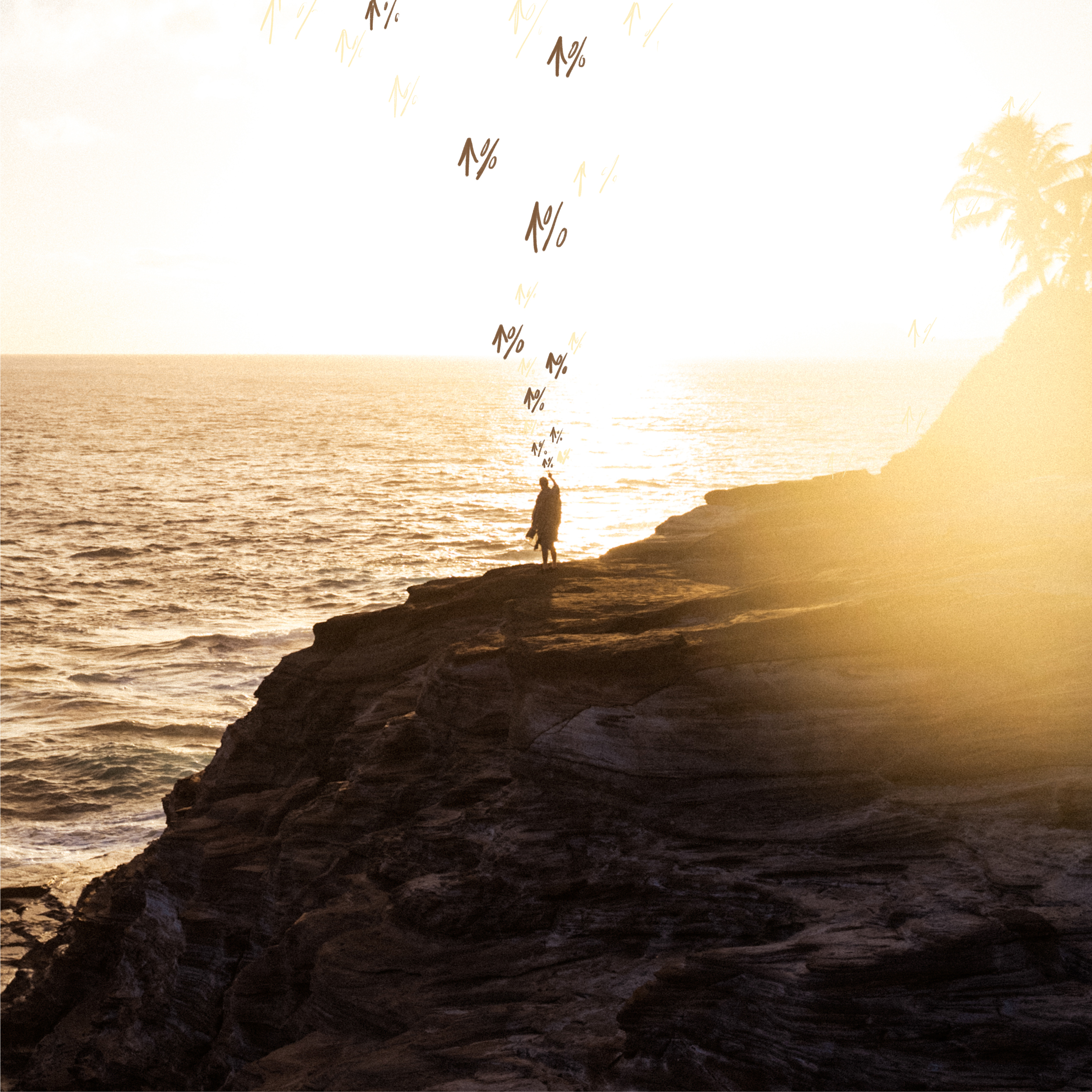 The Stay Vibrant Series