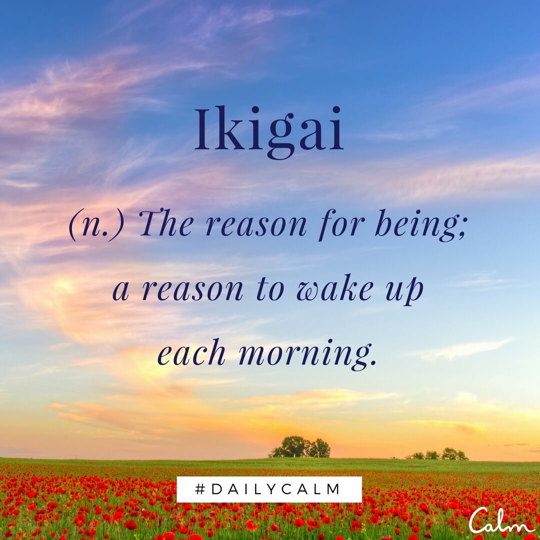 Daily Calm App Quotes - Best Quotes