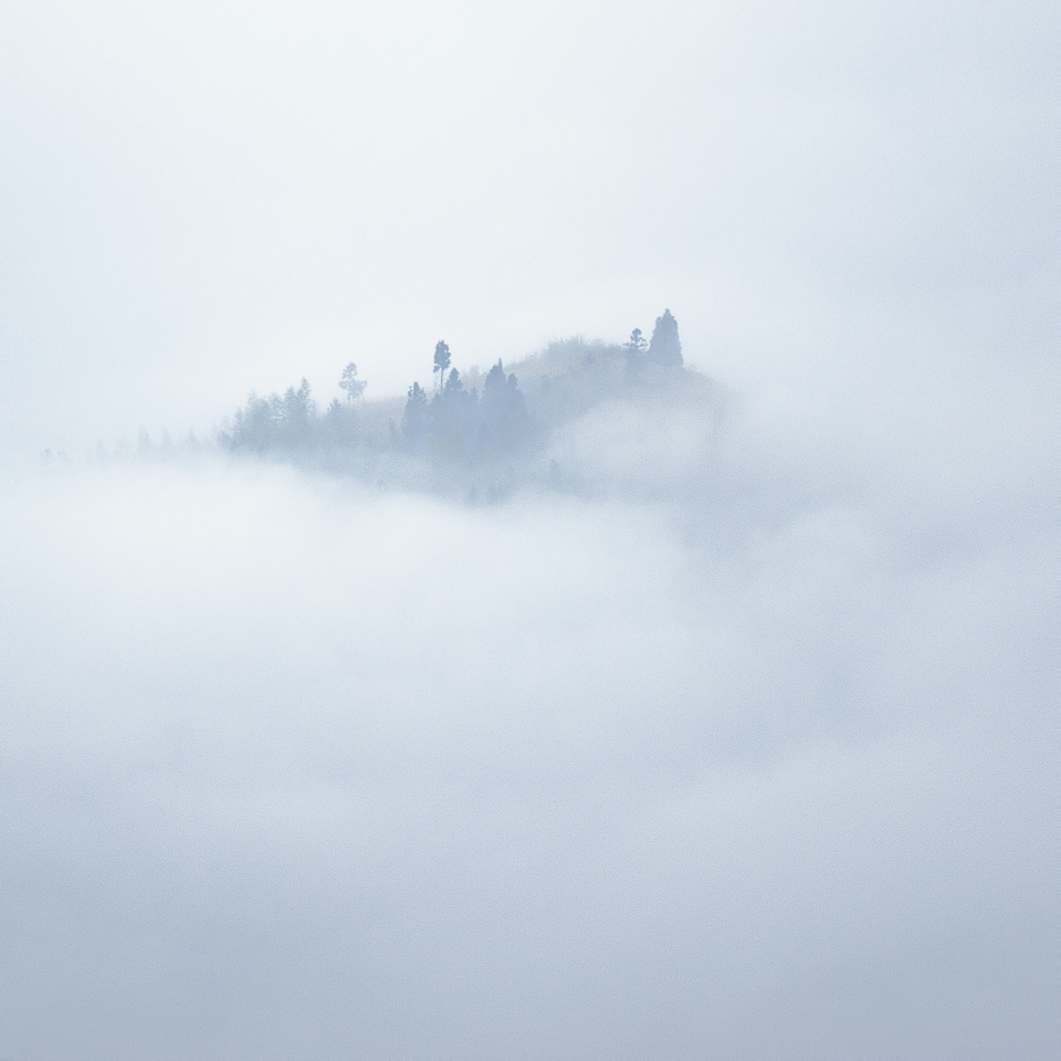 Through A Winding Path