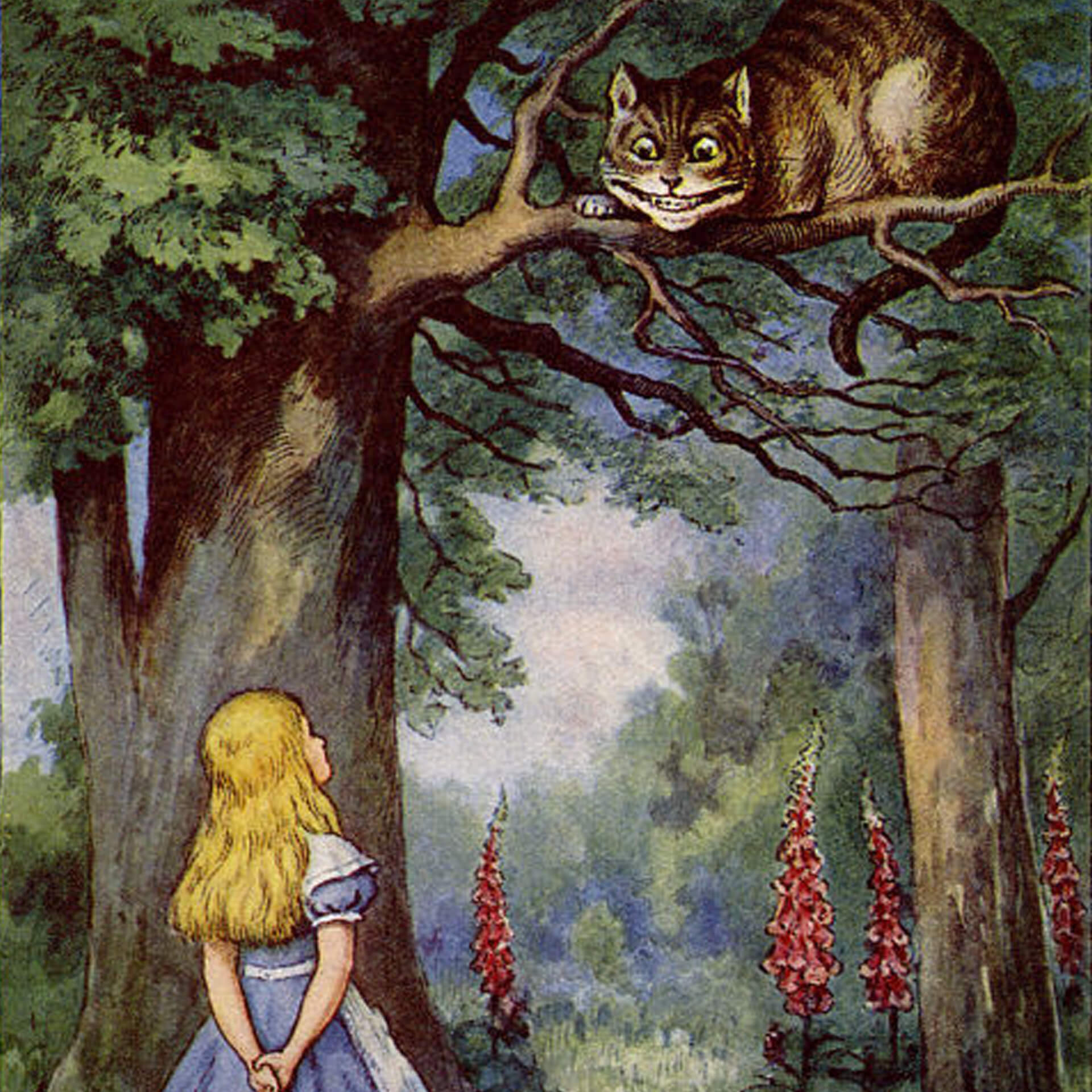 Meditating Meow Alice, Alice in Wonderland