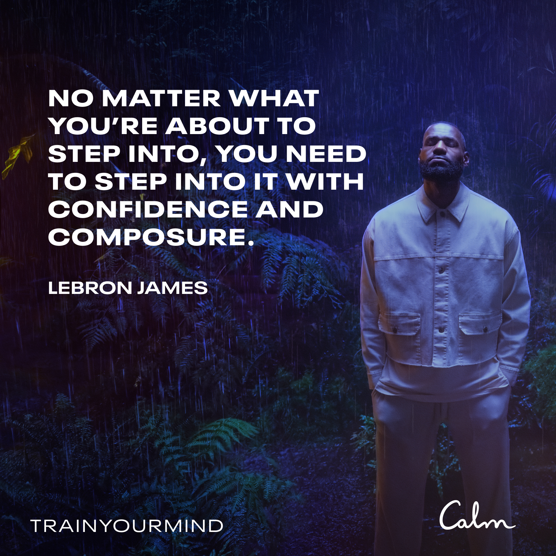 calm lebron james ad