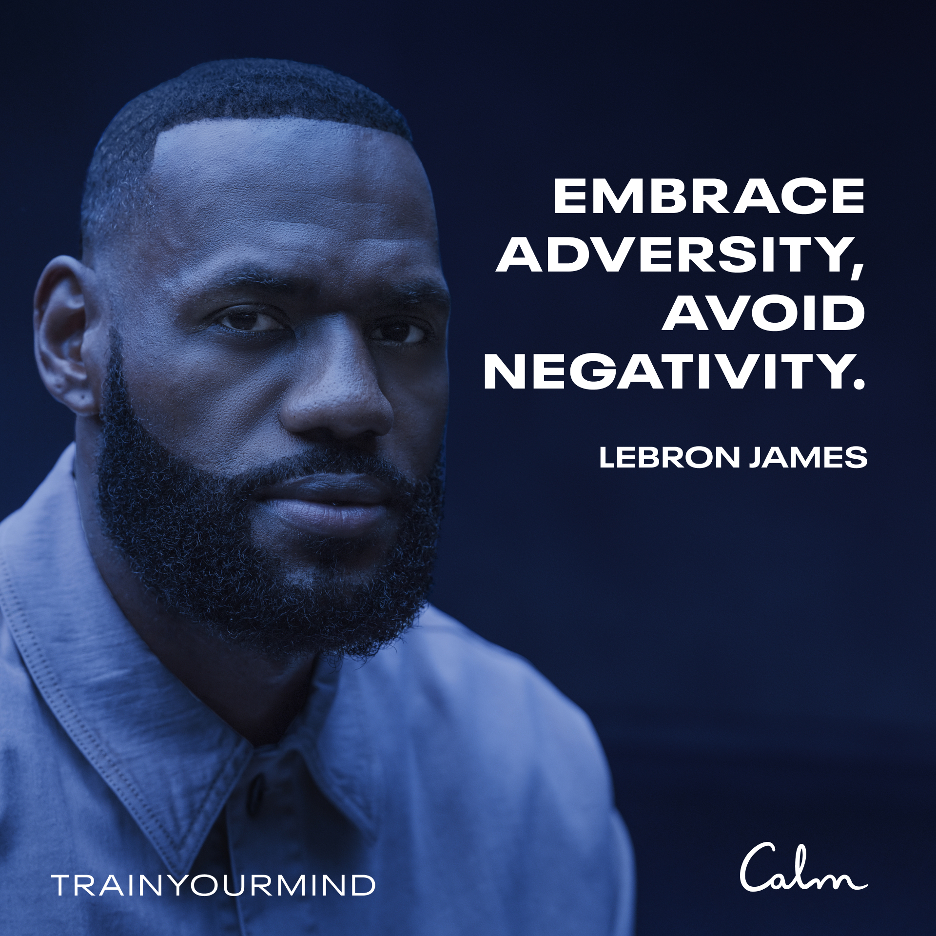 calm lebron james ad